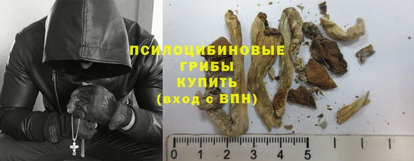 гидропоника Пестово