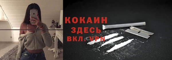 сатива Пересвет