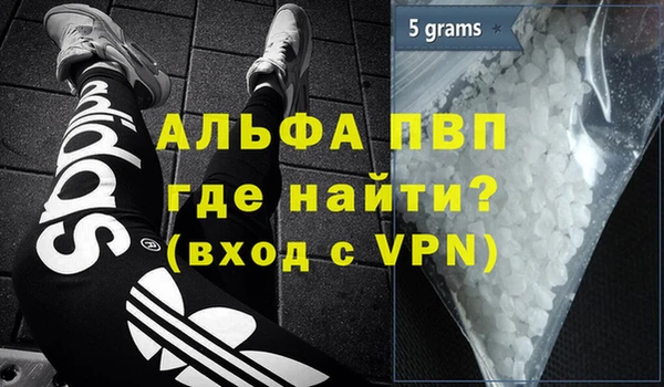 сатива Пересвет