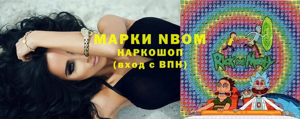 сатива Пересвет