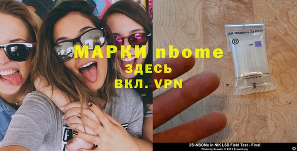 сатива Пересвет