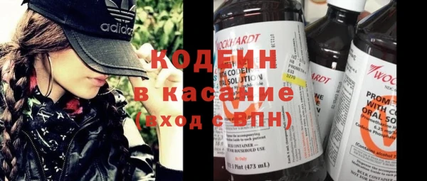 сатива Пересвет