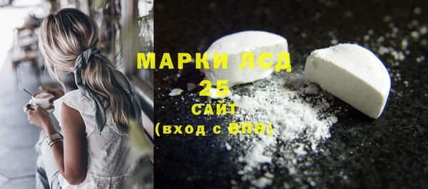сатива Пересвет