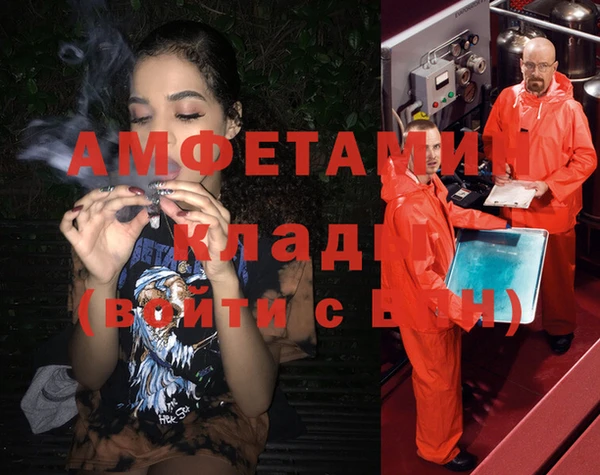 сатива Пересвет