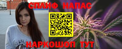 МДПВ Будённовск