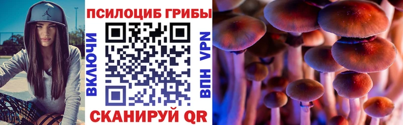 Галлюциногенные грибы MAGIC MUSHROOMS  купить наркотик  Сафоново 