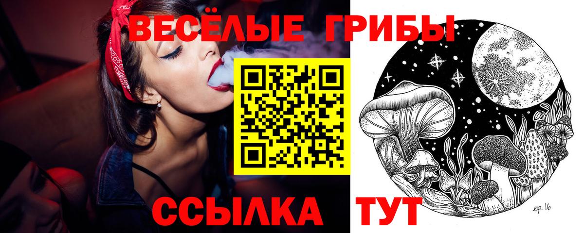 Галлюциногенные грибы Cubensis  купить наркотик  Сафоново 